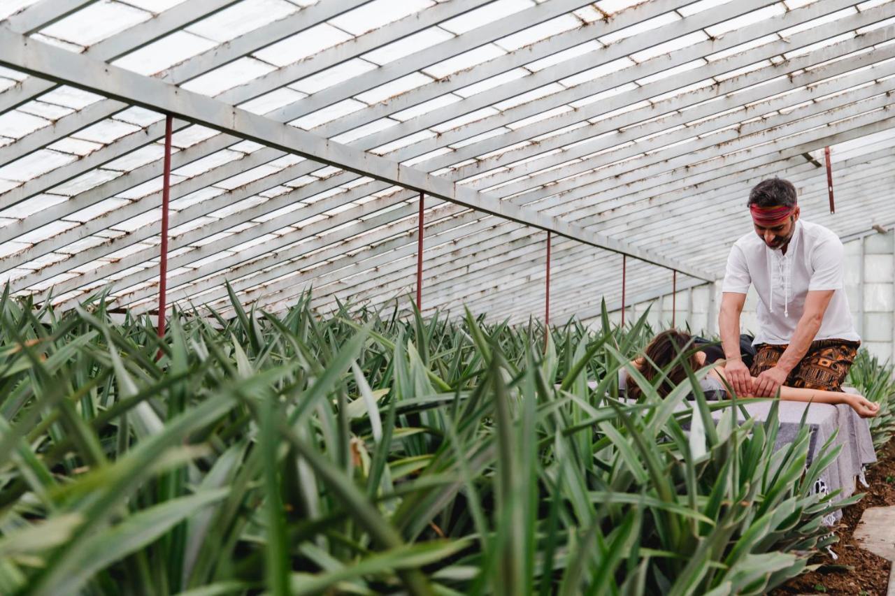 Herdade Do Ananas Ponta Delgada المظهر الخارجي الصورة